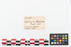 Foto von Eisengriffangelmesser (NHMW-PRAE-048346)